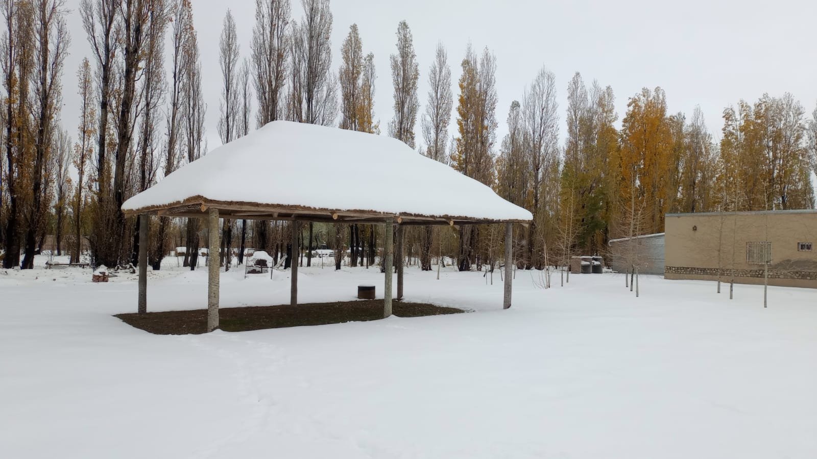 mendoza3